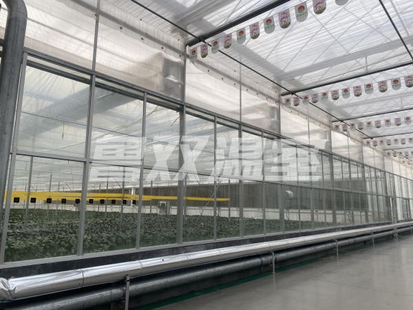 薄膜連棟溫室